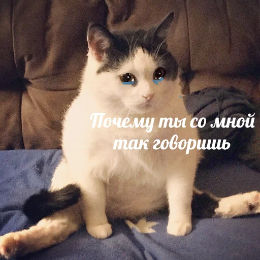 Стикер 036