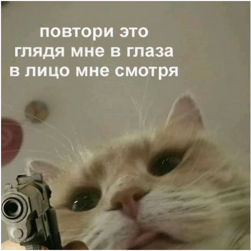 Стикер 037