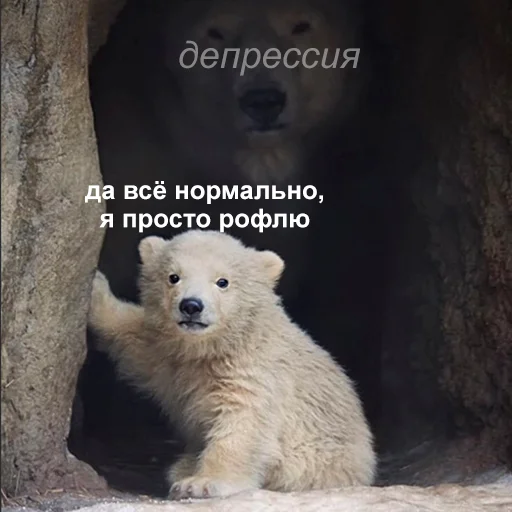 Стикер 038