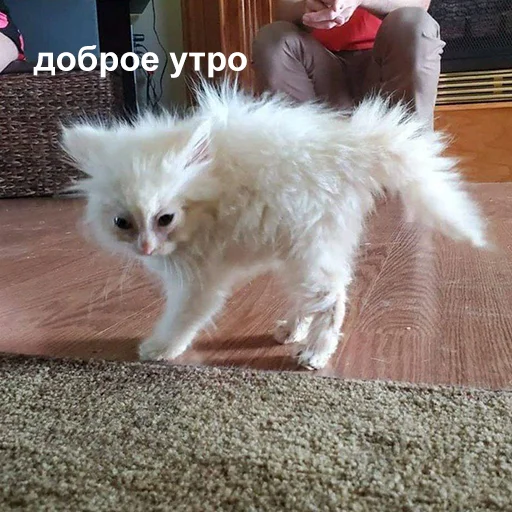 Стикер 039