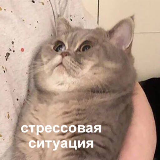 Стикер 040