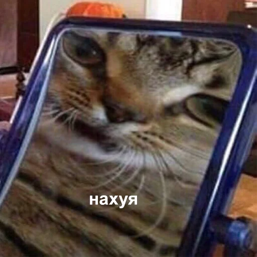 Стикер 043