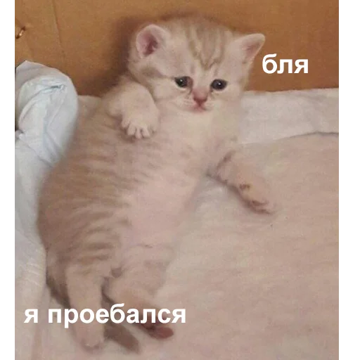 Стикер 045