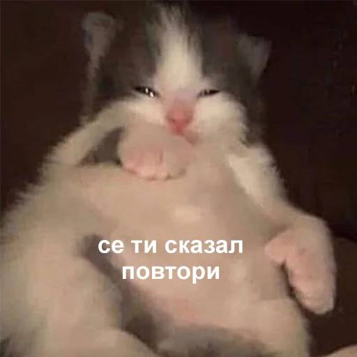Стикер 048