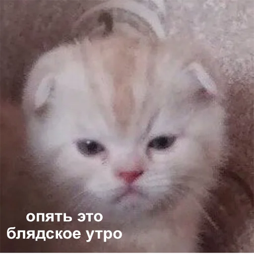 Стикер 049