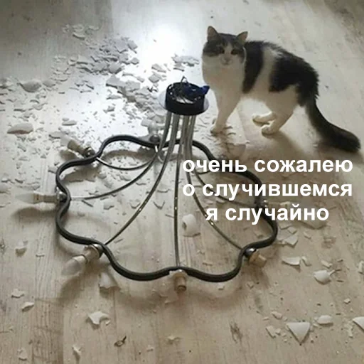 Стикер 055
