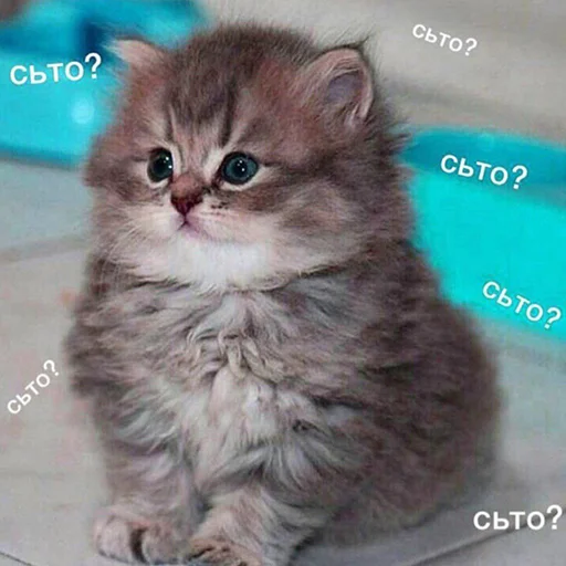 Стикер 057