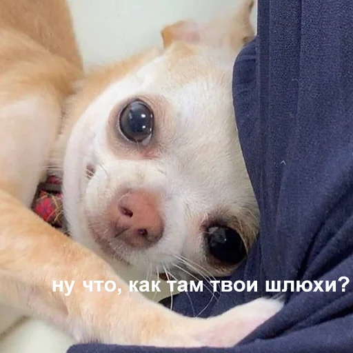 Стикер 060