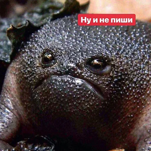 Стикер 061