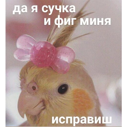 Стикер 063