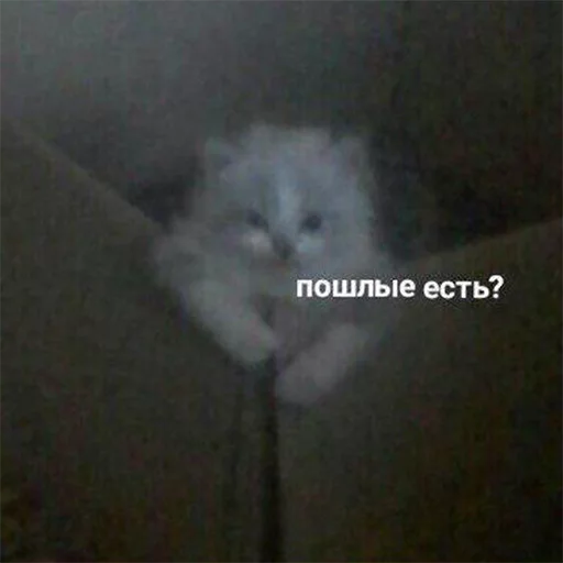 Стикер 065