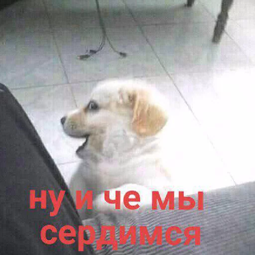 Стикер 068