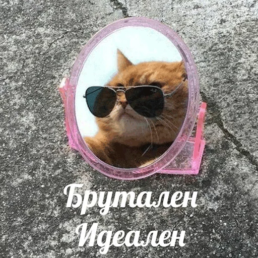 Стикер 071
