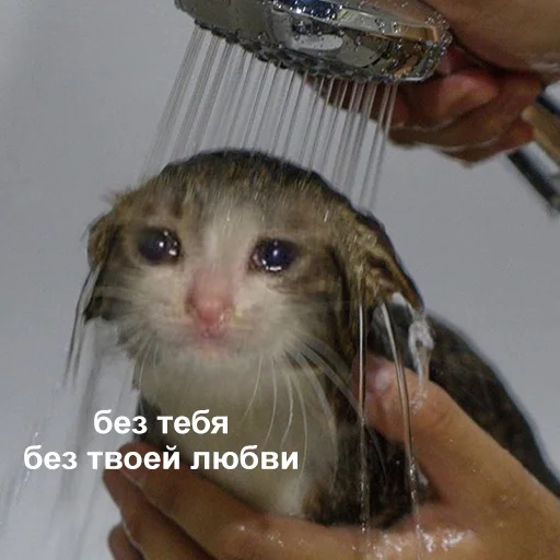 Стикер 077