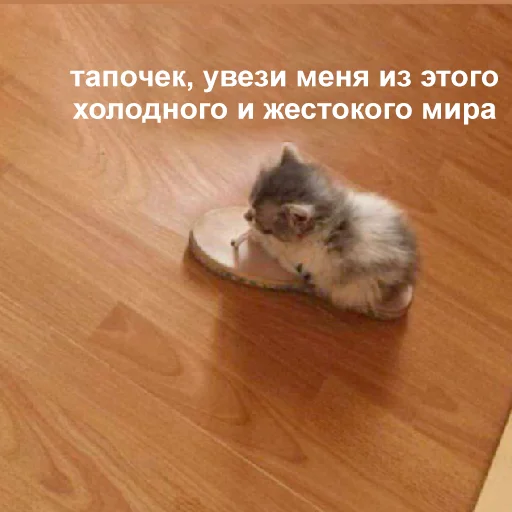 Стикер 082