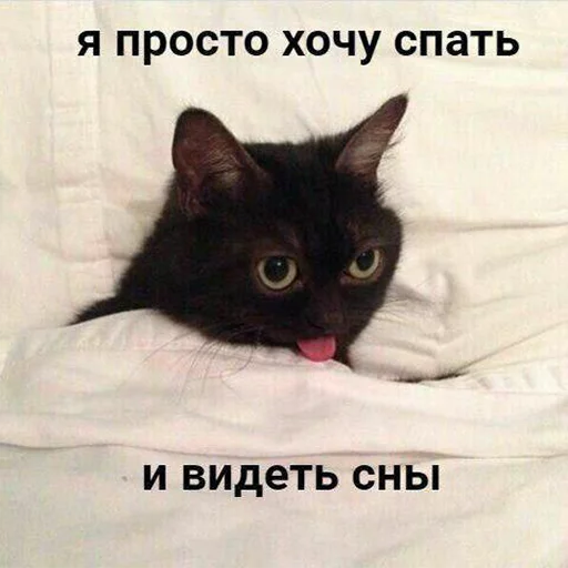Стикер 083