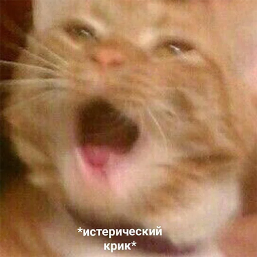 Стикер 088