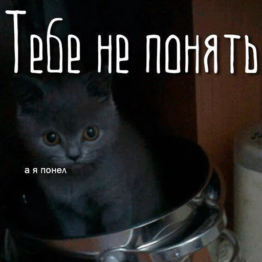 Стикер 089