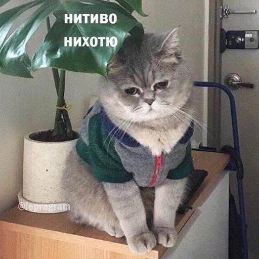 Стикер 091