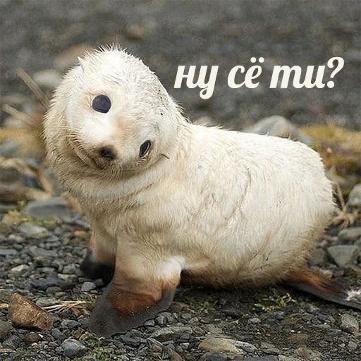 Стикер 092