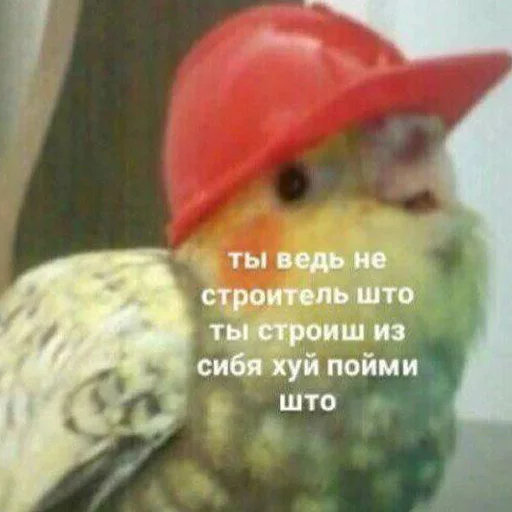 Стикер 095