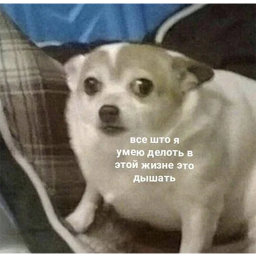 Стикер 098
