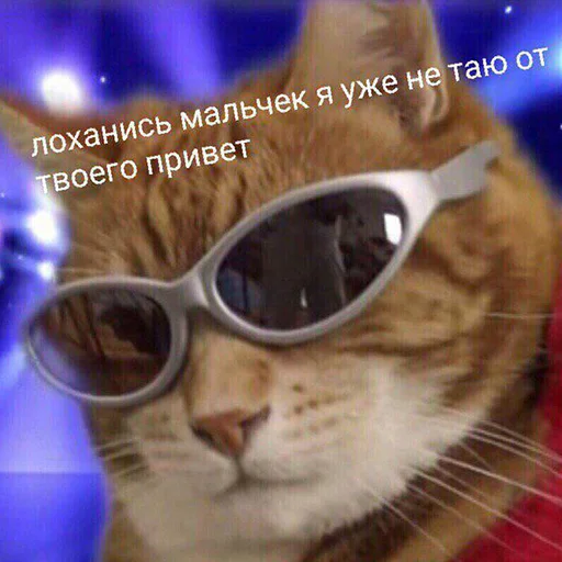 Стикер 101