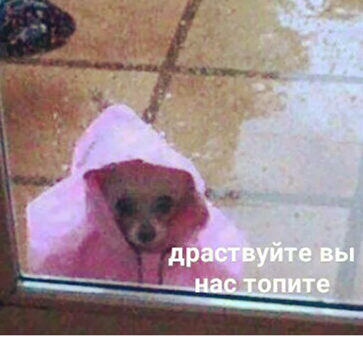 Стикер 105
