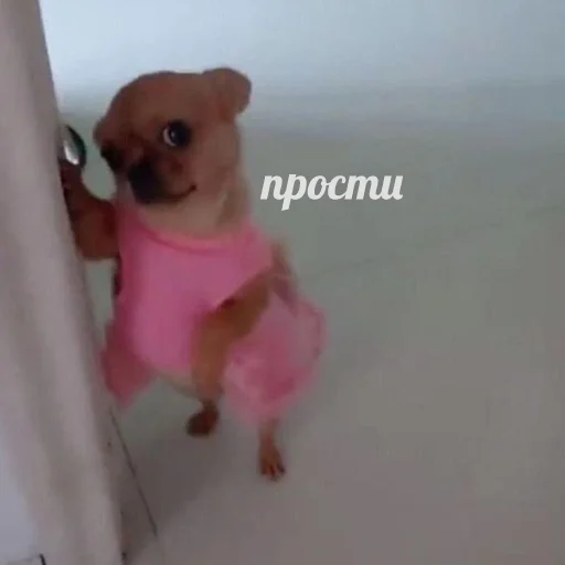 Стикер 108