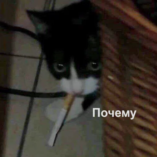 Стикер 109