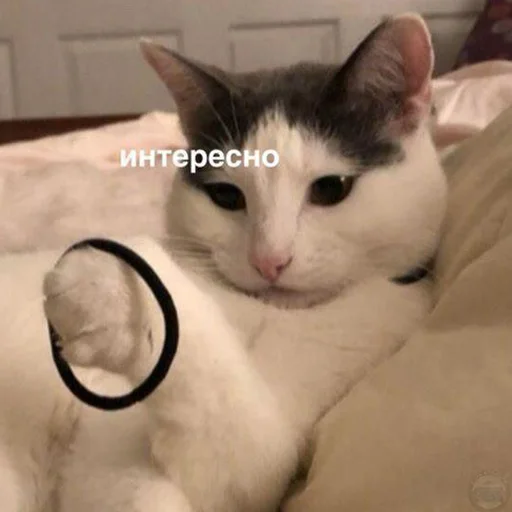 Стикер 114