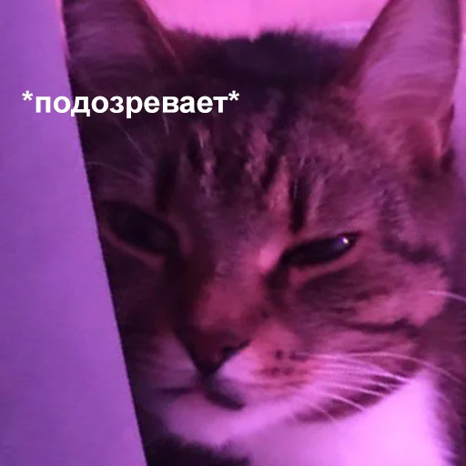 Стикер 115