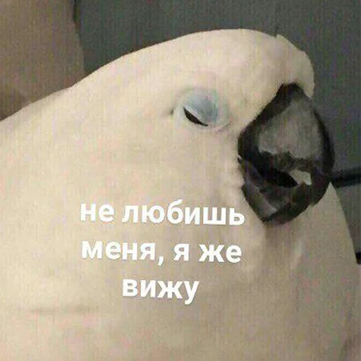Стикер 117