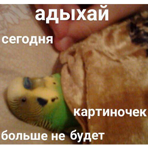 Стикер 119