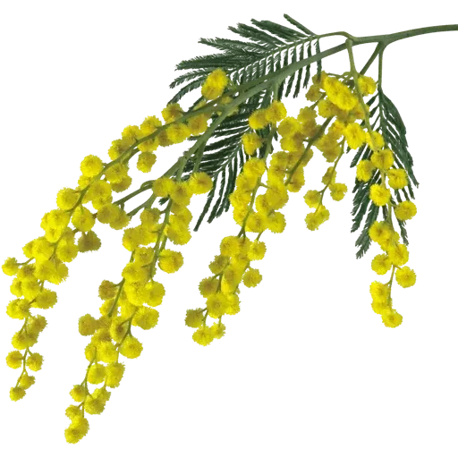 Стикер 013