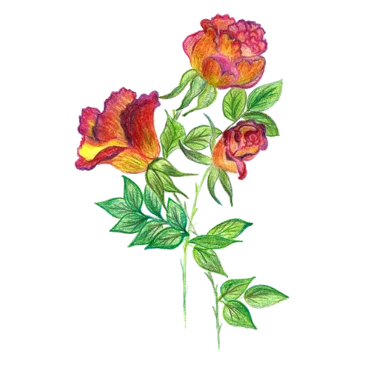 Sticker 027