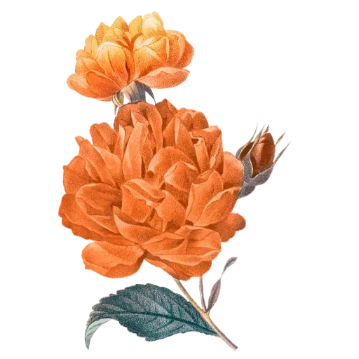 Sticker 031