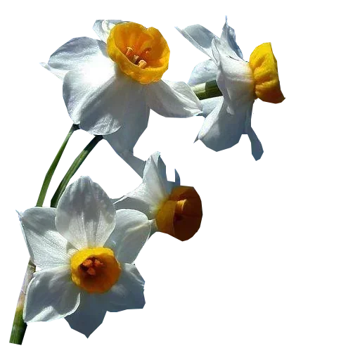 Стикер 055