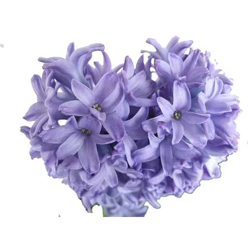 Стикер 076