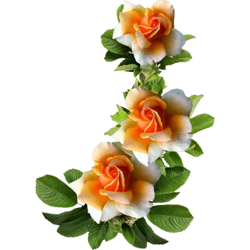 Стикер 078