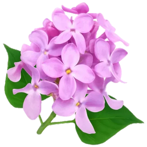 Стикер 079