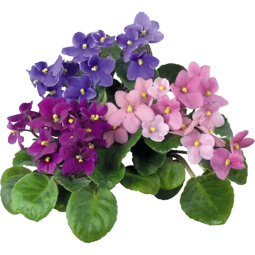 Стикер 089