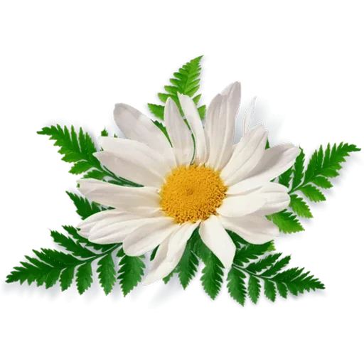 Стикер 105