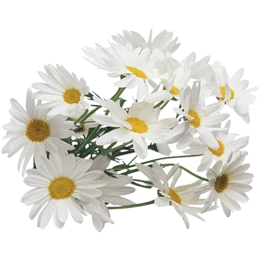 Стикер 106