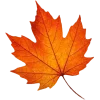 Emoji 037