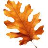 Emoji 069