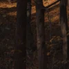 Эмодзи 071