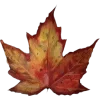 Emoji 075
