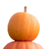 Emoji 081