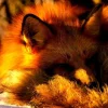 Эмодзи 090